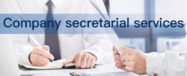 Company Secretarial Services